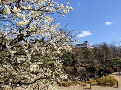 西の丸、ワの櫓(好古園「築山池泉の庭 」から)