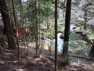 山手から見た庭園内