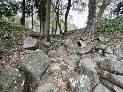 南曲輪と東曲輪に挟まれる城道