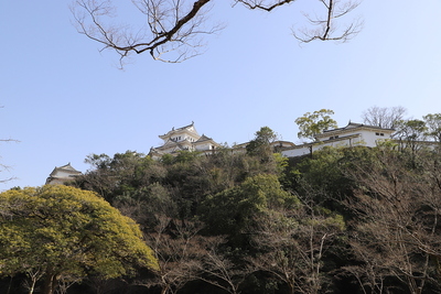 姫山公園から