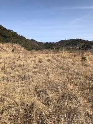 木ノ本城