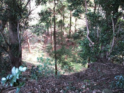 松尾山背後の空堀