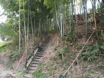 竹薮の登り口