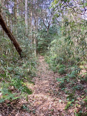 登城道