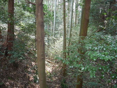 主郭北側の巨大な空堀