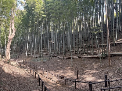 土塁(空堀から)