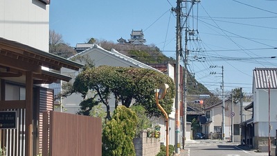 撫養街道から見た模擬天守