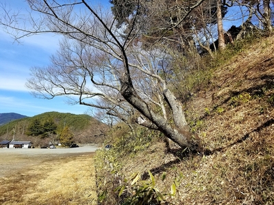 本丸切岸