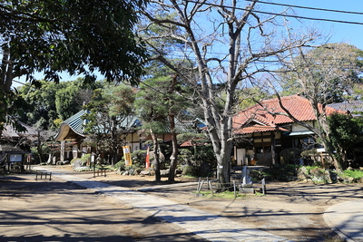 布川城_本丸跡_徳満寺