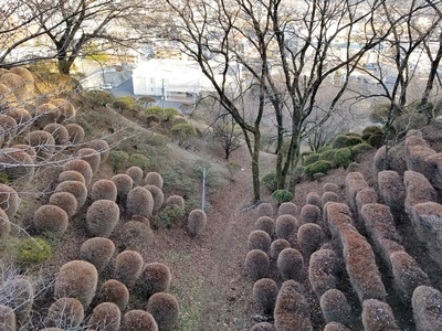 空堀