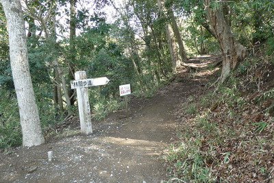 天神曲輪側林間歩道入口