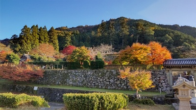 登城橋から望む、秋の出石城