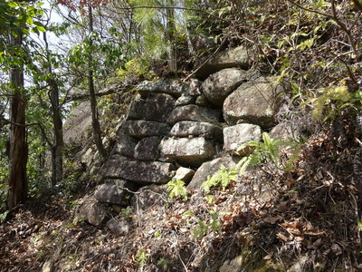 24曲輪(山頂)南側の石垣