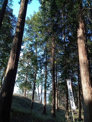 三雲城　主郭と土塁