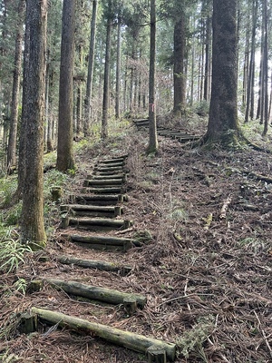 西郭と本郭の間にある登城路の堀切