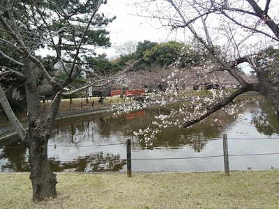 亀城公園