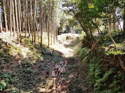 外堀(諏訪神社東側)