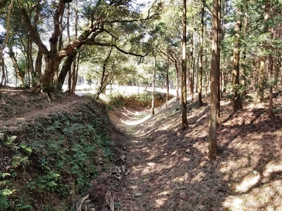 外堀(諏訪神社北東)