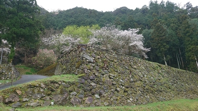 米蔵跡の石垣