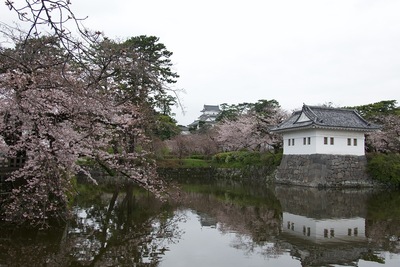 隅櫓と天守