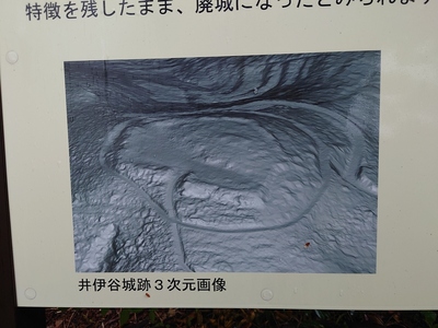 井伊谷城の三次元画像