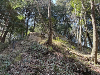 主郭北・東辺の石垣