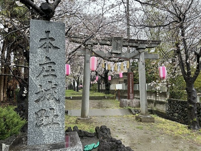 桜咲く城山稲荷神社参道