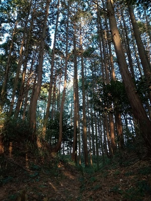 村雨城　虎口