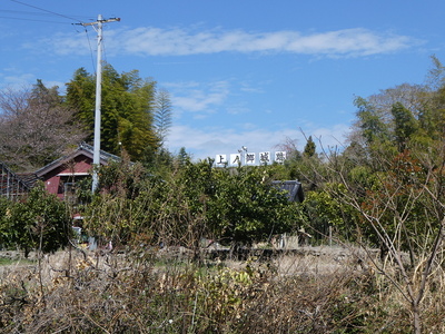 城跡遠景