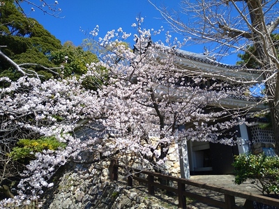 桜門と桜