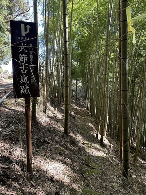 登城路。