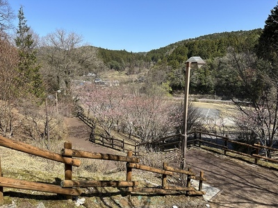 登城路