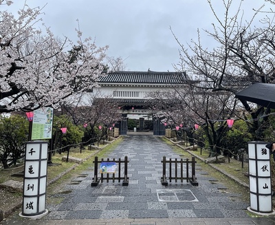 本丸大手櫓門につづく桜並木