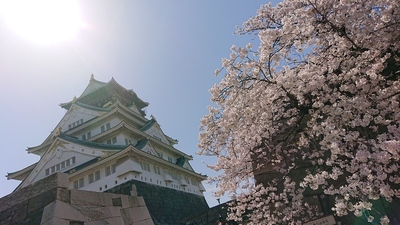 桜と城