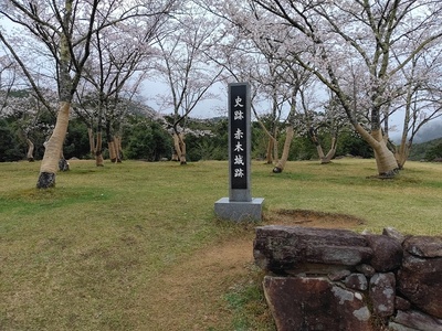 天守台上の城址碑と桜