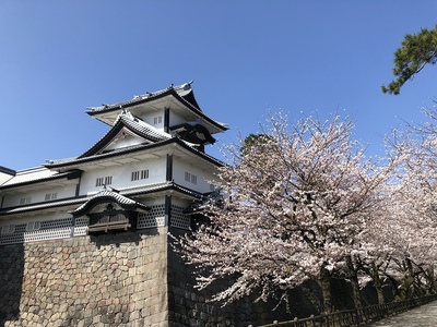 菱櫓と桜