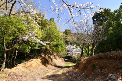 林道