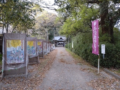 秦神社参道