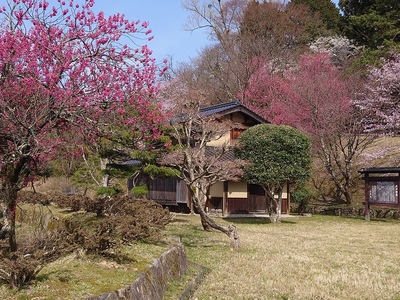 奥の院の建物