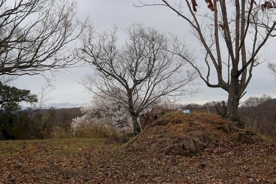 高野丸（権現丸）