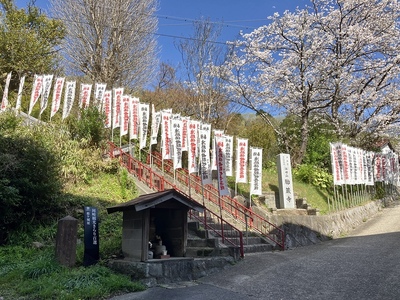 姫ヶ城（桜咲く胎蔵寺）