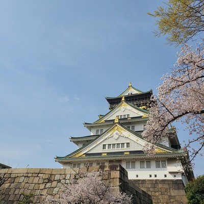 桜の時期に