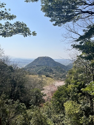 太閤ヶ平から見た山上の丸