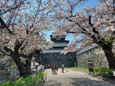 下之橋と潮見櫓と満開のサクラ