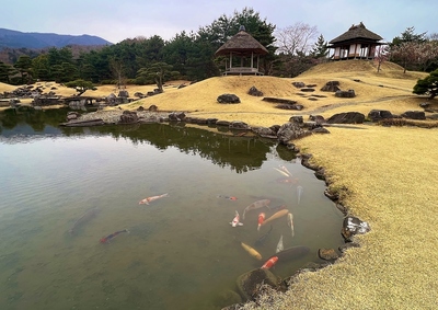 庭園　風景