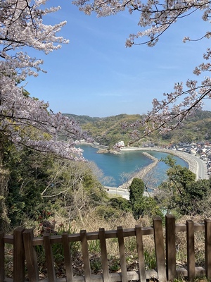 本丸より　外ノ浦の港