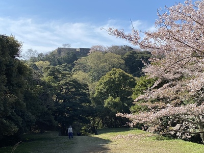 内膳丸より本丸を見る