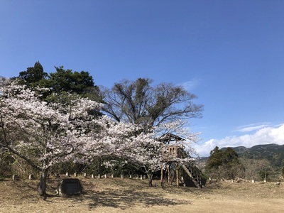 善福寺曲輪