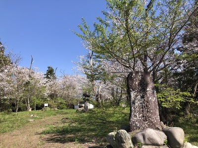 本曲輪・城址碑