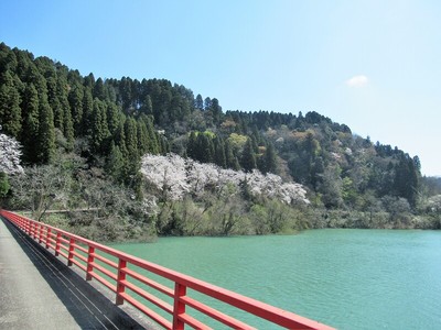 城遠景（城下町跡から）